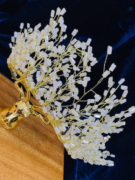 تاجات كريستال