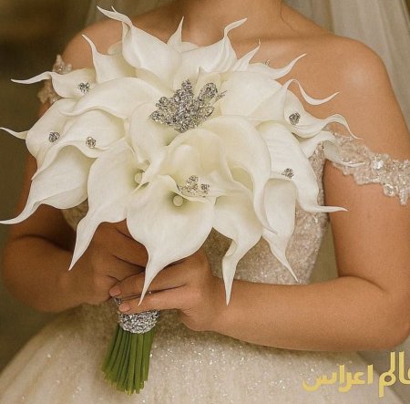 مسكات عرايس